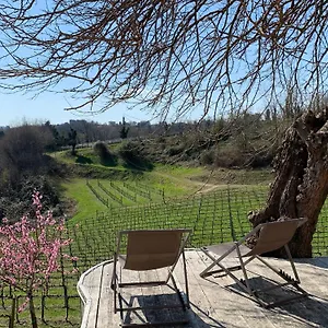 Ca'vittoria - Prosecco Experience - Unesco Affittacamere